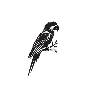 recommend clip art: Parrot silhouette. Parrot vector design. Parrot logo, icon black and white.
