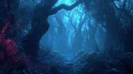 Fototapeta premium light in the forest