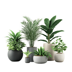 Obraz premium 3d illustration of decorative plant collection isolated on transparent background
