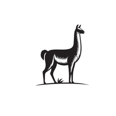 Fototapeta premium Vicuña Silhouette design. Vicuña Silhouette vector design. Llama vector design. Llama logo.