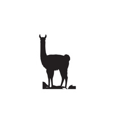 Fototapeta premium Vicuña Silhouette design. Vicuña Silhouette vector design. Llama vector design. Llama logo.