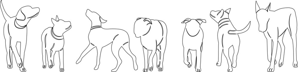 sketch set of dog on white background vector