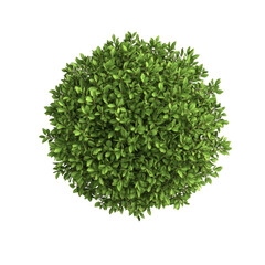 Naklejka premium 3d illustration of bush with bird's eye view isolated on white background