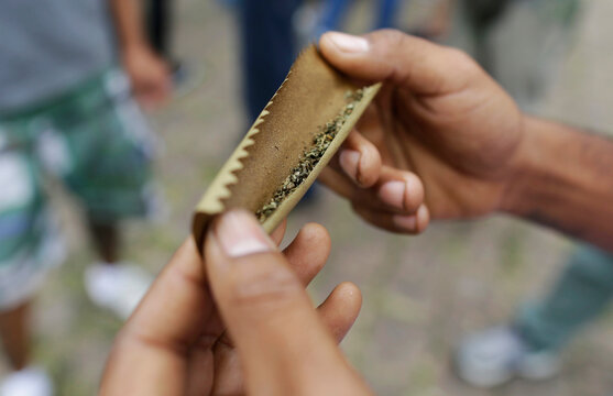 A man rolls a weed joint during a march in favor of the legalization of cannabis in Sao Paulo, Brazil.