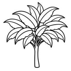 banana tree outline coloring book page line art drawing