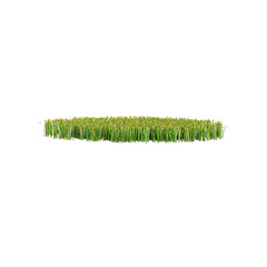 Green Grass Border isolated on transparent Canvas