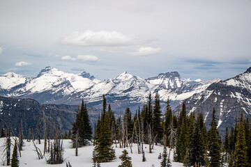 Mount Brown fire lookout and Mountain Goat, Trail start at Lake mcdonald lodge, Glacier national park, Montana, USA