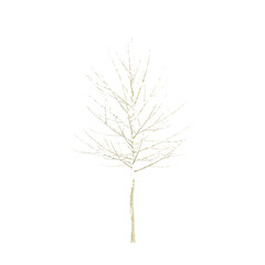 Obraz premium Christmas Trees Covered in Snows with transparent canvas