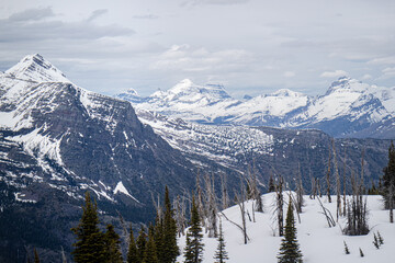 Mount Brown fire lookout and Mountain Goat, Trail start at Lake mcdonald lodge, Glacier national park, Montana, USA