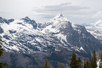 Obraz premium Mount Brown fire lookout and Mountain Goat, Trail start at Lake mcdonald lodge, Glacier national park, Montana, USA