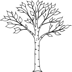 birch tree outline coloring book page line art drawing