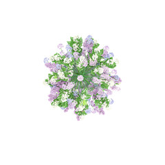 3d rendering of flowers and ornamental plants in pots isolated on Canvas from the top  view