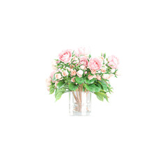 Carnation flowers planted in the pot isolated on Canvas