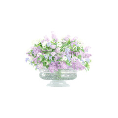 Common lilac flower plant in pot on isolated Canvas