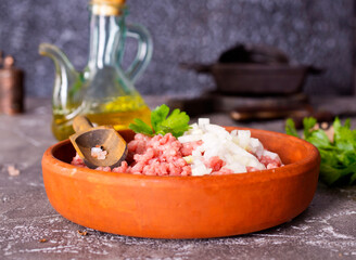 Fresh Raw Beef Minced Meat with herbs and onion