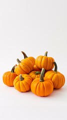 pumpkins on a white background