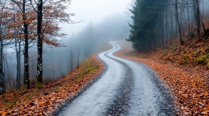 Obraz premium The image shows a winding road covered in fallen leaves, leading into a misty autumn forest, creating a sense of mystery and calm as it disappears into the foggy distance.