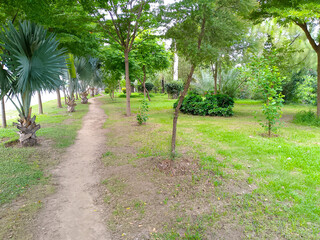 A walkway in the park view