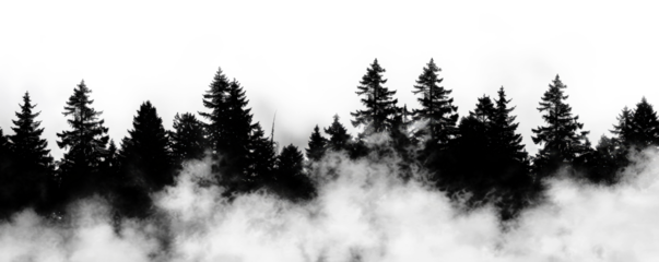 silhouette of dark foggy forest isolated