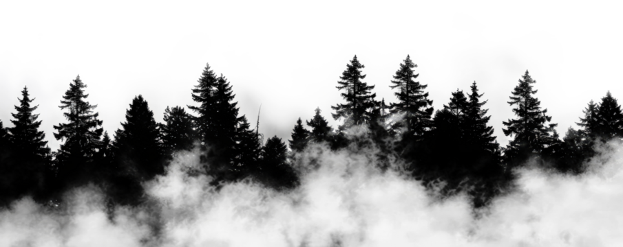 silhouette of dark foggy forest isolated