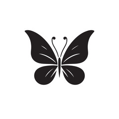 Butterfly silhouette. Butterfly logo vector design isolated on white background.