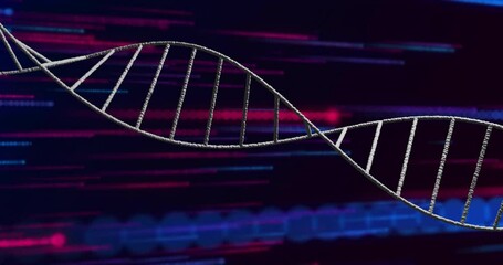 Animation of dna strand over colourful light trails on black background - Powered by Adobe