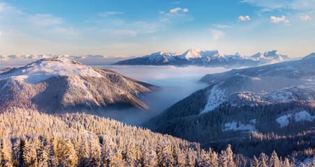 Impressive snow-covered mountain landscape in winter. Panorama early in the morning with snow-covered fir trees and the first sunlight.