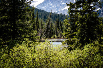 Grinnell Lake,  located in Glacier National Park, in the U. S. state of Montana. Named after George Bird Grinnell, 15 June 2024.