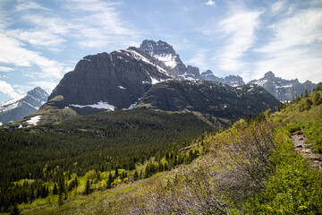 Grinnell Lake trail path way surround by the mountain and wild flower. Glacier national park, Montana, USA. 