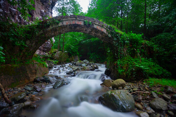 The Twin Bridges are two adjacent arch bridges located in the Arhavi district of Artvin province in northwestern Turkey.