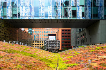 This image captures a modern urban setting with innovative architecture, featuring a strikingly vibrant green garden and blue reflective glass buildings overhead in Rotterdam
