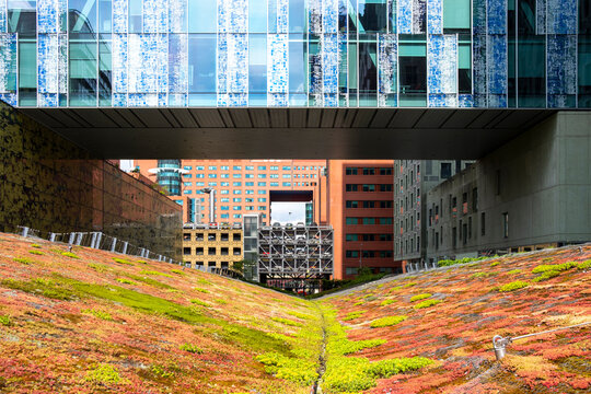 This image captures a modern urban setting with innovative architecture, featuring a strikingly vibrant green garden and blue reflective glass buildings overhead in Rotterdam