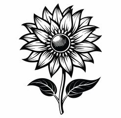 beautiful flowers image