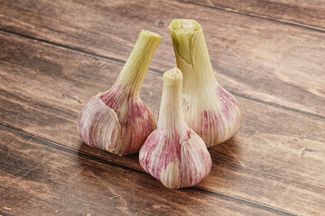 Young garlic heap for cooking