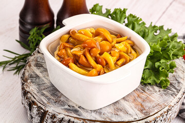 Marinated honey mushroom in the bowl
