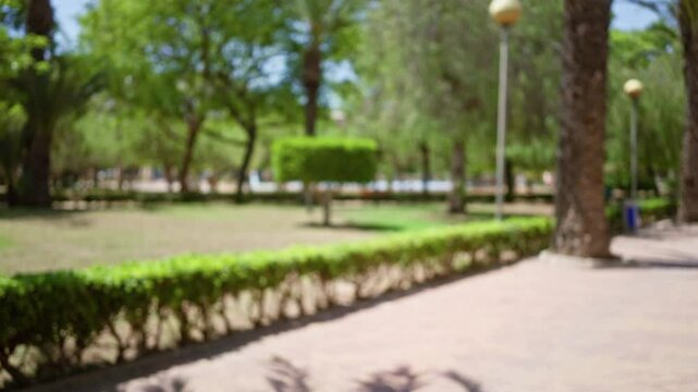 Blurry outdoor park scene with defocused greenery, trees, path, bokeh effect, and soft light creating a serene natural atmosphere.