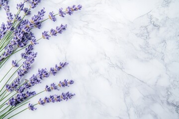 Fototapeta premium With a copy space on a marble background, lavender is blooming