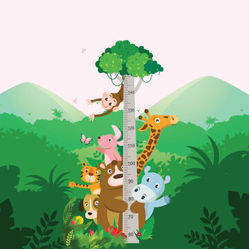 An illustration cartoon animals giraffe, monkey, pig, hippo, dog, tiger meter wall or height chart