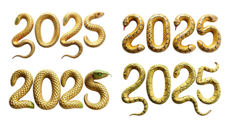 Set with 2025 snake shaped numbers on transparent background. Holiday and party concept.