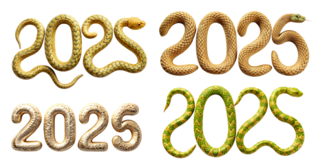 Set with 2025 snake shaped numbers on transparent background. Holiday and party concept.