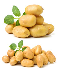 New potato isolated on white background 