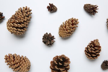 Different cones on white background, flat lay
