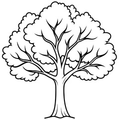 elm tree outline coloring book page line art drawing