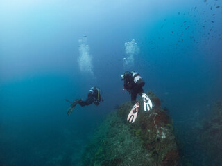 Paisaje submarino medierraneo con gorgonia y buceadores en la costa brava