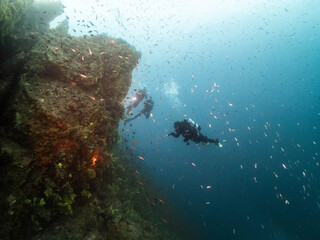 Paisaje submarino mediterraneo con buceadores en la costa brava