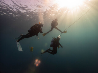 Buceadores a contraluz haciendo la parada de seguridad