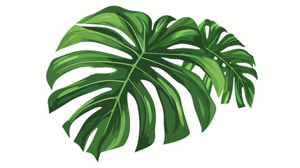Vibrant Monstera Tropical Leaf Vector Illustration
