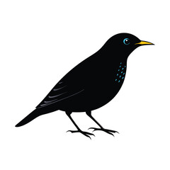 Obraz premium a Beautiful Starling bird silhouette vector art illustration, isolated white background, 