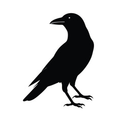 Obraz premium a flat crow silhouette vector art illustration, isolated white background,