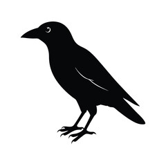 Obraz premium a flat crow silhouette vector art illustration, isolated white background,